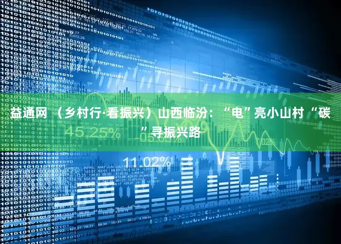 益通网 （乡村行·看振兴）山西临汾：“电”亮小山村 “碳”寻振兴路