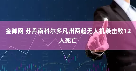 金御网 苏丹南科尔多凡州两起无人机袭击致12人死亡
