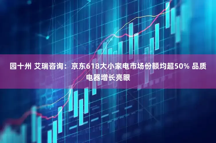 园十州 艾瑞咨询：京东618大小家电市场份额均超50% 品质电器增长亮眼