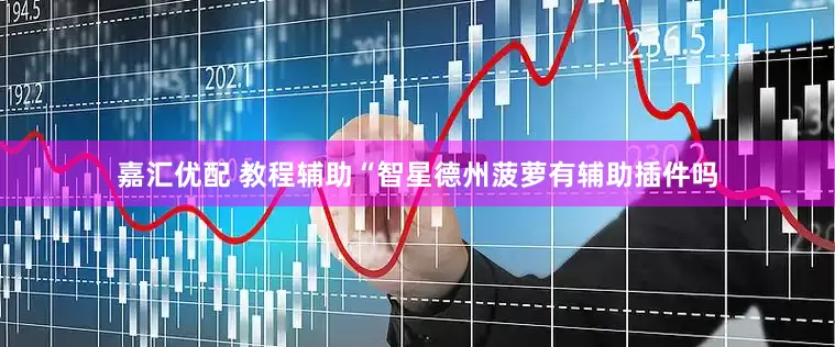嘉汇优配 教程辅助“智星德州菠萝有辅助插件吗